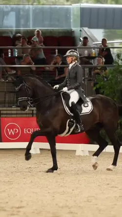Dressage