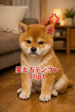 笑えるテンプレ