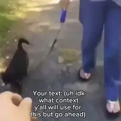He will pet the dog!