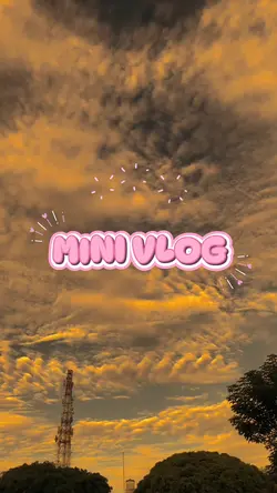 mini vlog