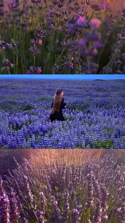 minivlog aesthetic 