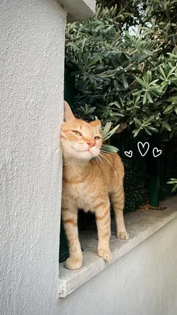 Cute
