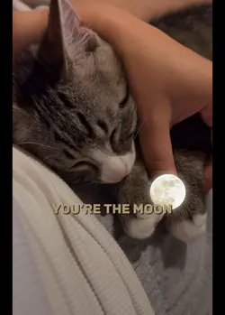 Astronaut - Moon