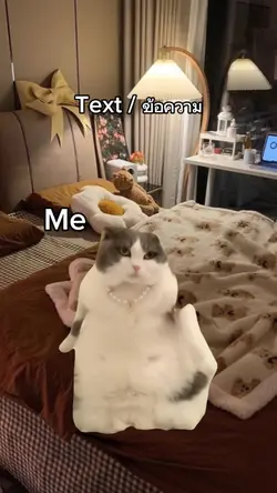 Dancing cat 