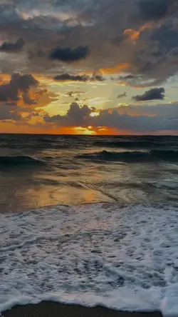 slowmo