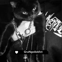 Ryan lore 🐈‍⬛