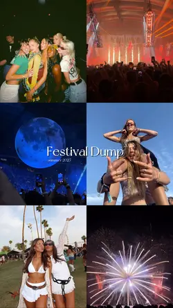Festival dump 