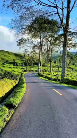 5 video moments
