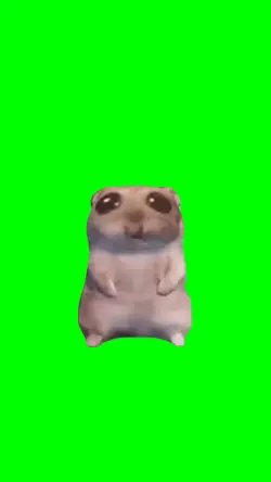 HAMSTER DANCE