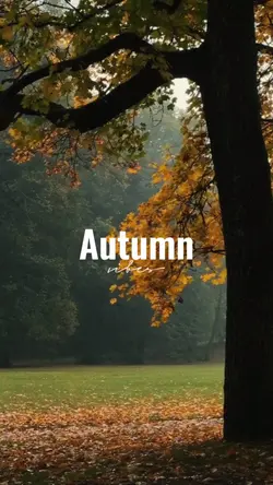 autumn vibes