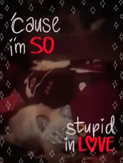 stupid in love