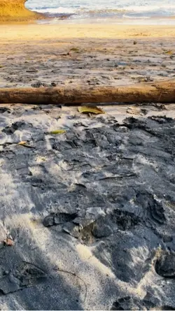 1 video pantai