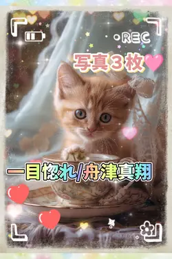 一目惚れ/写真３枚