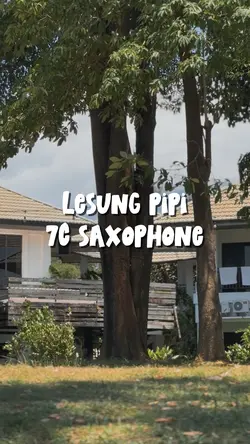 Lesung Pipi