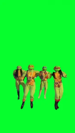 turtles dance