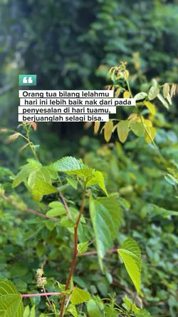 Bahan sw