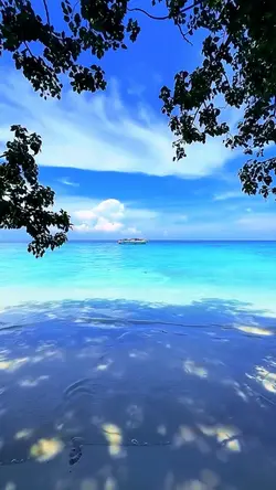 23 videos or photos 
