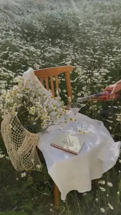 hello spring 