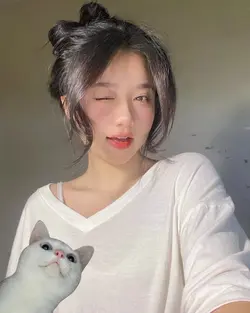 lucuu bet