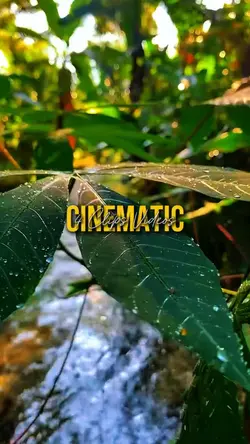 Cinematic Nature 4K