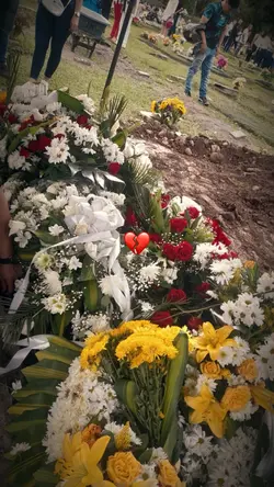 Día de muertos 💔