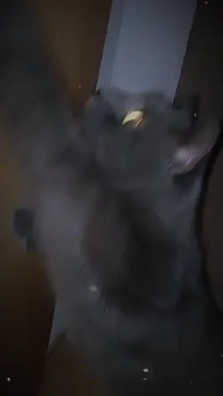 Edit