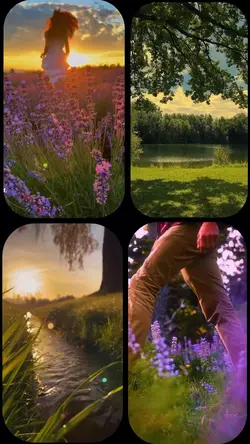 Nature escape