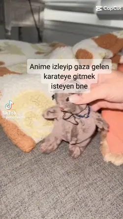 Evet kesinlikle