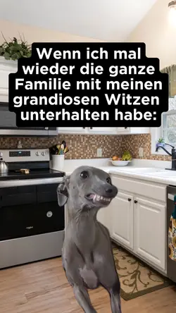 Grinsender Hund 😬 