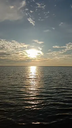 kabute 1 video 