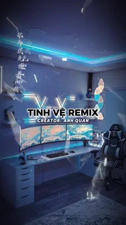 Tinh Vệ Remix