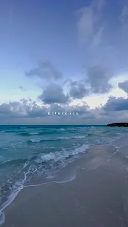 nature sea .