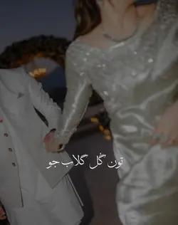 Toon Gull Gulab Jo