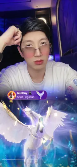 Pegasus gift TikTok