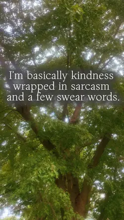 Wrapped in sarcasm 