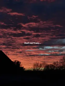 cant say goodbye 
