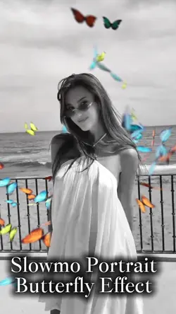 Butterfly Effect 
