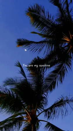 you are my sunshine 