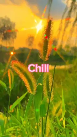 Bình yên ❤️