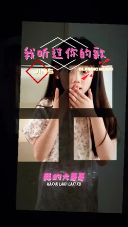 我听过你的歌 dj