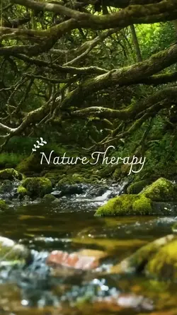 Nature Therapy