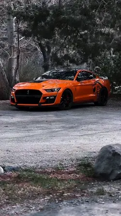 Mustang 🧡🧡