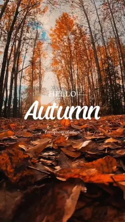 Hello Autumn