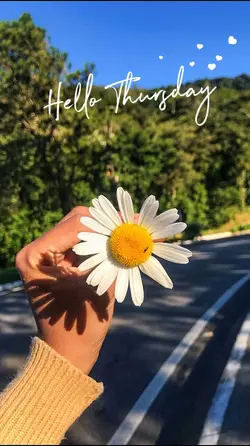 Hello Thursday 