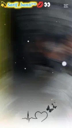 new template video 