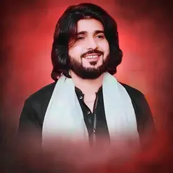 Zeeshan rokhadi 