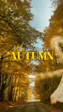 Autumn Cinematic
