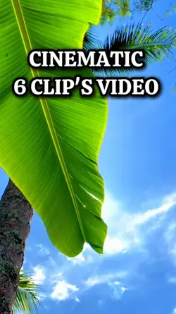 6 Video Cinematic 