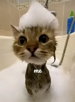 BFF