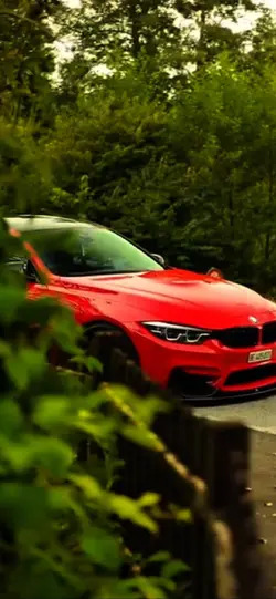 Bmw VIP	